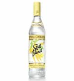 Stolichnaya Vanil Vanilla Vodka - Sendgifts.com