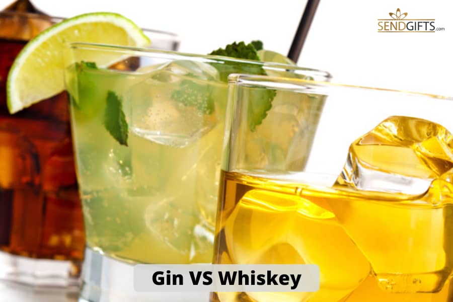 Gin, Gin or Whiskey: Which One Should You Choose?