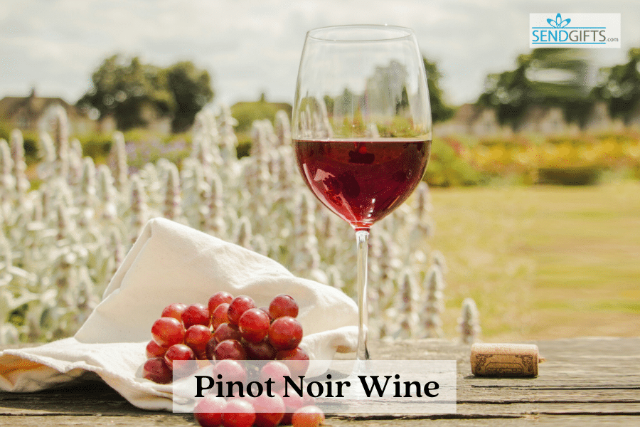 Pinot Noir Wine, Make a Time for Pinot Noir Wine from Sendgifts