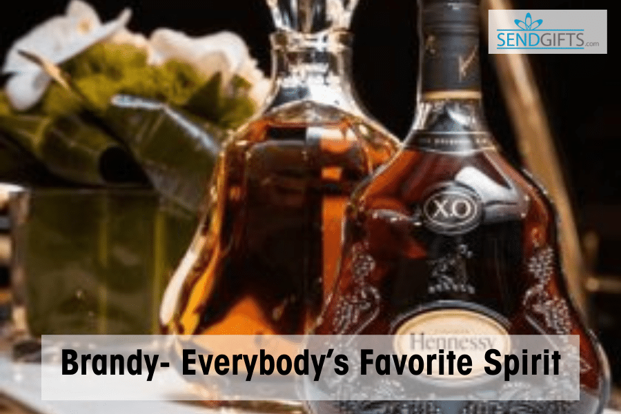 Brandy, Brandy- Everybody’s Favorite Spirit